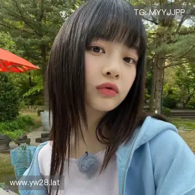 赵鸽